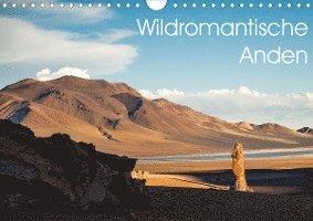 Cover for Wechsler · Wildromantische AndenCH-Versio (Book)