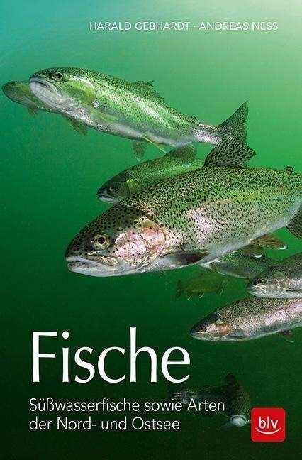 Cover for Gebhardt · Fische (Buch)