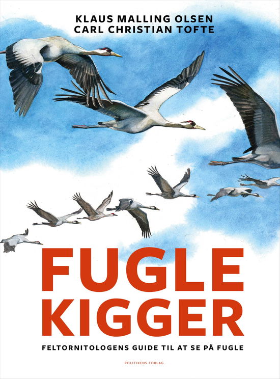 Fuglekigger - Carl Christian Tofte; Klaus Malling Olsen - Books - Politikens Forlag - 9788740089912 - October 8, 2025
