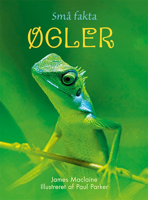 Cover for James Maclaine · Små Fakta: Små Fakta: Øgler (Bound Book) [1º edição] (2019)