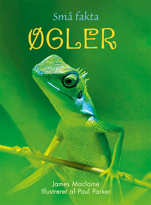 Små Fakta: Små Fakta: Øgler - James Maclaine - Libros - Flachs - 9788762731912 - 10 de mayo de 2019