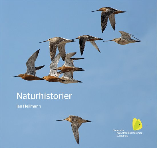 Cover for Ian Heilmann · Naturhistorier (Sewn Spine Book) [1. Painos] (2022)