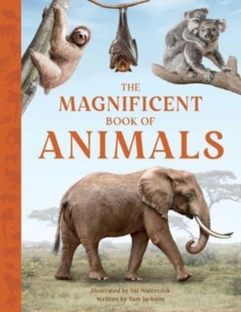The Magnificent Book of Animals - The Magnificent Book of - Tom Jackson - Bøker - Weldon Owen - 9798886740912 - 30. mai 2023