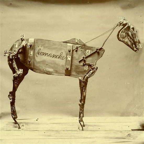Horse Comanche - Chadwick Stokes - Musiikki - NETTWERK - 0067003104913 - tiistai 3. helmikuuta 2015