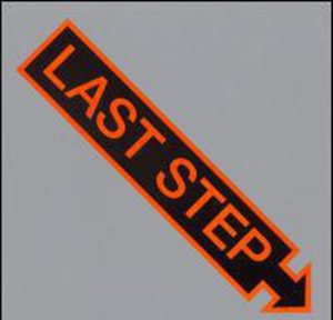 Cover for Last Step (LP) (2007)