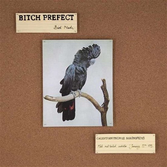 Cover for Bitch Prefect · Bird Nerds (LP) (2014)