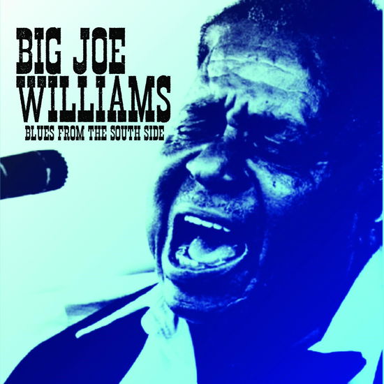 Cover for Big Joe Williams · Blues from the South Side (CD) (2025)