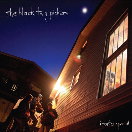 Ironto Special - Black Twig Pickers - Musik - THRILL JOCKEY - 0790377024913 - 23. september 2010