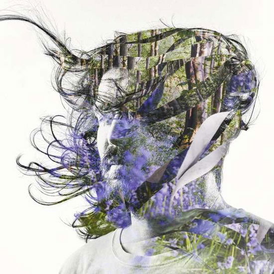 Cover for Bibio · Ribbons (LP) [Standard edition] (2019)