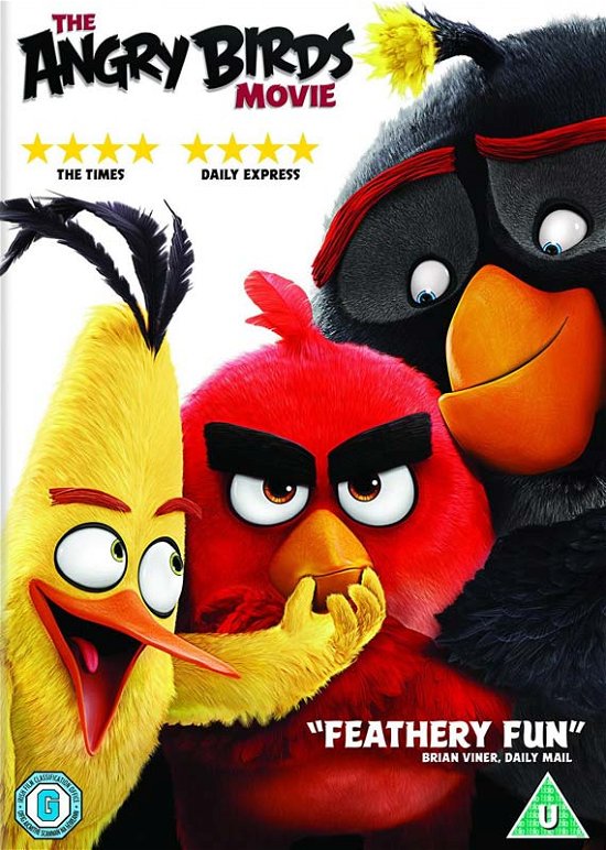 Cover for The Angry Birds Movie (DVD) (2016)