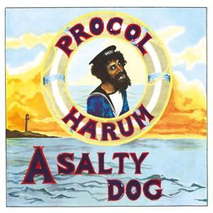 Procol Harum · A Salty Dog (LP) [High quality, Remastered edition] (2017)