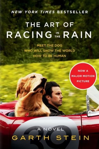 Cover for Garth Stein · The Art of Racing in the Rain Tie-in: A Novel (Paperback Book) (2019)