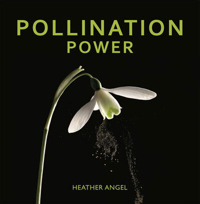 Cover for Heather Angel · Pollination Power (Hardcover Book) (2016)