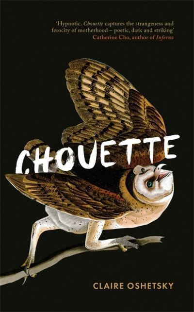 Cover for Claire Oshetsky · Chouette (Hardcover Book) (2021)