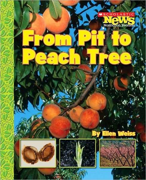 Cover for Ellen Weiss · From Pit to Peach Tree (Scholastic News Nonfiction Readers: How Things Grow) (Paperback Book) (2007)