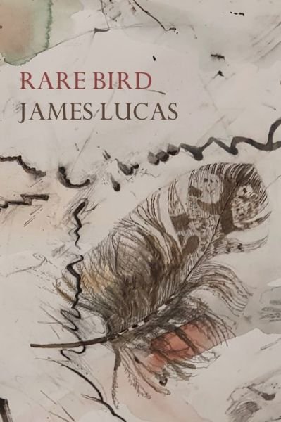 Cover for James Lucas · Rare Bird (Pocketbok) (2021)