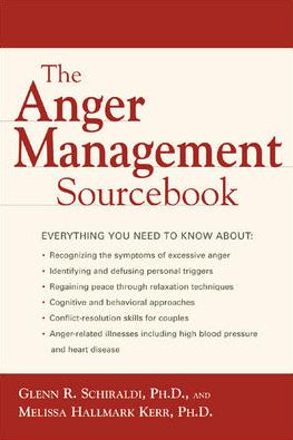 Cover for Glenn Schiraldi · The Anger Management Sourcebook - Sourcebooks (Paperback Book) [Ed edition] (2002)