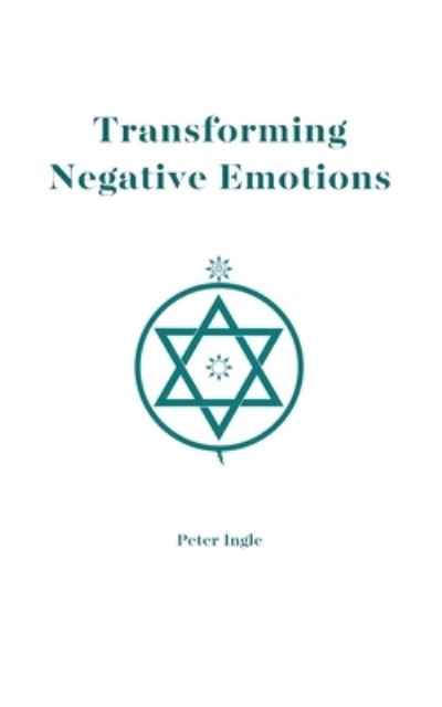 Observations About the System and the Work - Peter Ingle - Books - Pantheon Press - 9780974634913 - August 15, 2013