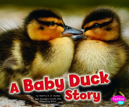 A Baby Duck Story (Baby Animals) - Martha E. H. Rustad - Books - Capstone Press - 9781429670913 - June 1, 2011