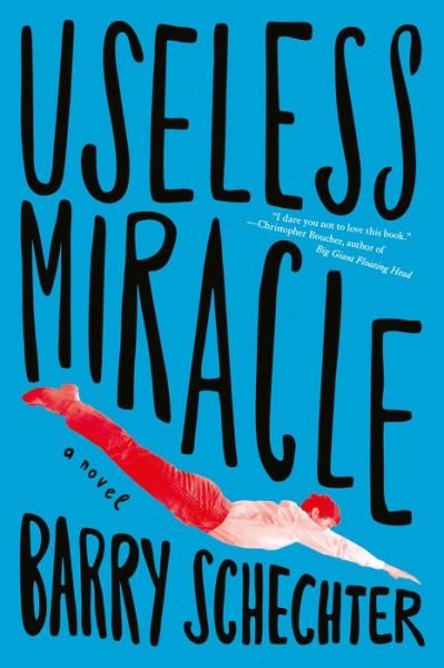 Cover for Barry Schechter · Useless Miracle (Paperback Book) (2021)