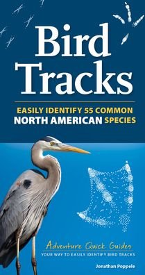 Cover for Jonathan Poppele · Bird Tracks: Easily Identify 55 Common North American Species - Adventure Quick Guides (Spiralbok) (2023)