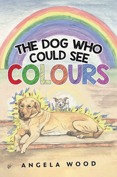 Cover for Angela Wood · The Dog Who Could See Colours (Paperback Book) (2022)