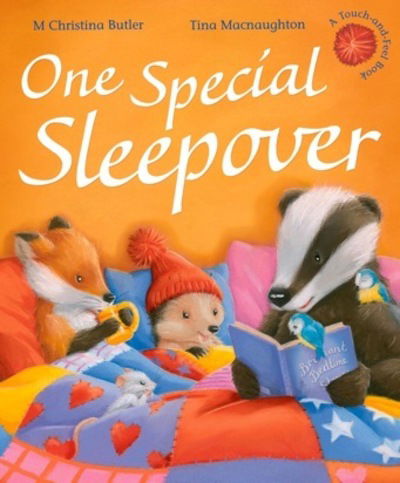 Cover for M Christina Butler · One Special Sleepover - Little Hedgehog (Hardcover Book) [UK edition] (2014)