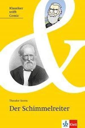 Cover for Theodor Storm · Der Schimmelreiter (Paperback Book) (2017)