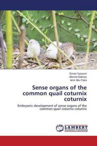 Cover for Yyoussri Eman · Sense Organs of the Common Quail Coturnix Coturnix (Pocketbok) (2015)