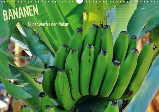 Cover for Ganz · Bananen (Wandkalender 2021 DIN A3 (Book)