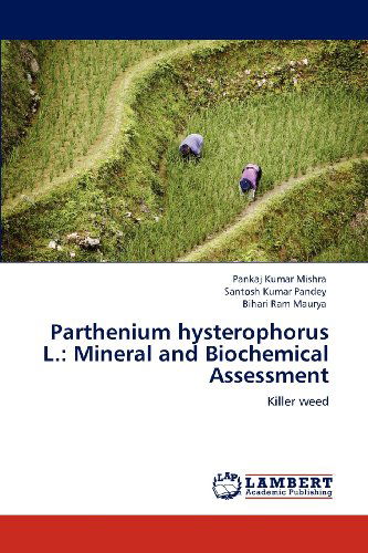 Cover for Bihari Ram Maurya · Parthenium Hysterophorus L.: Mineral and Biochemical Assessment: Killer Weed (Pocketbok) (2012)