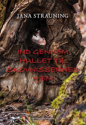 Iana Strauning · Ind gennem hullet til skovnissernes hjem (Gebundesens Buch) [1. Ausgabe] (2022)