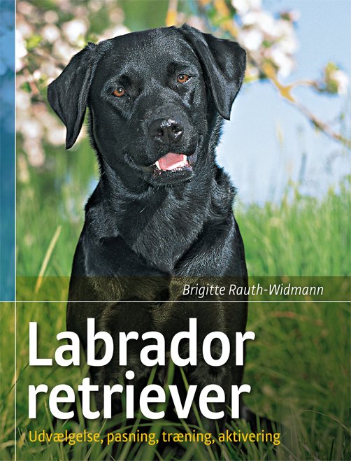 Cover for Brigitte Rauth-Widmann · Labrador retriever (Paperback Book) [1th edição] [Paperback] (2011)