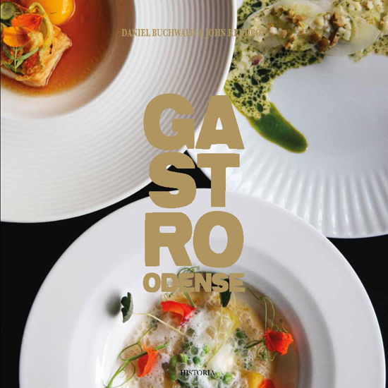 Cover for Daniel Buchwald &amp; John Rendboe · Gastro-serien: GastroOdense (Hardcover bog) [1. udgave] (2024)