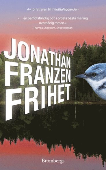 Frihet - Jonathan Franzen - Books - Brombergs - 9789173373913 - March 26, 2012