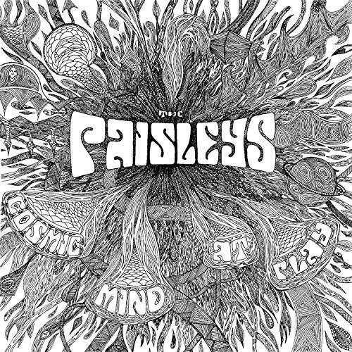 Cover for Paisleys · Cosmic Mind At Play (LP) [Reissue edition] (2015)