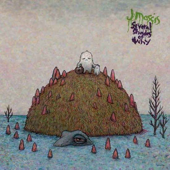 J Mascis · Several Shades of Why (LP) (2011)