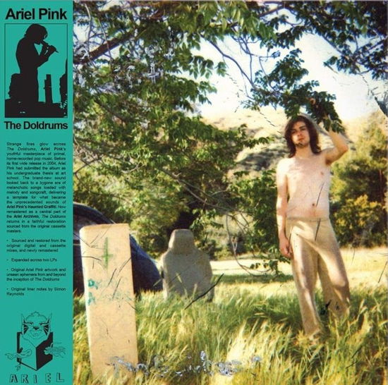 Cover for Ariel Pink · Doldrums (LP) [Remastered edition] (2023)