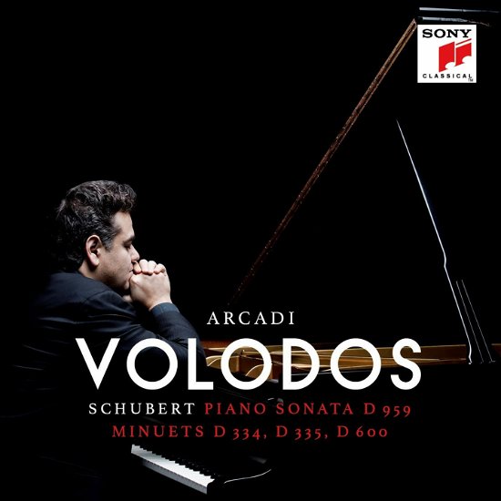 Cover for Arcadi Volodos · Schubert: Piano Sonata D.959 &amp; Minuets D. 334, D. 335, D. 600 (LP) (2019)
