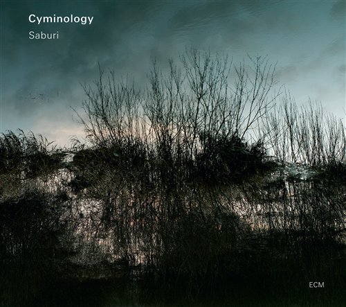 Saburi - Cyminology - Muziek - SUN - 0602527538914 - 17 februari 2011