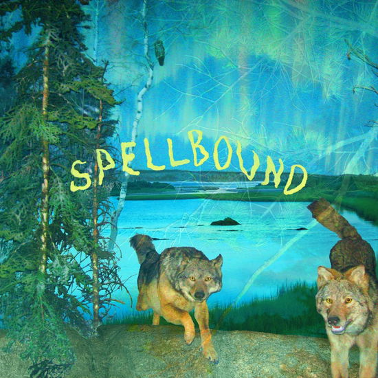 Cover for Boyscott · Spellbound (LP) (2024)