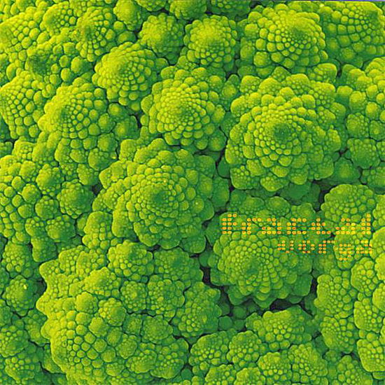 Cover for Vorga · Fractal (CD) (2008)