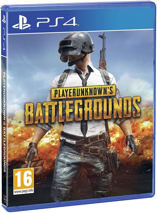 Cover for Microsoft · Playerunknown's Battlegrounds (PS4)