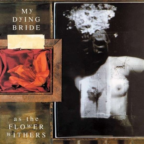 Cover for My Dying Bride · As the Flower Withers (LP) (2013)