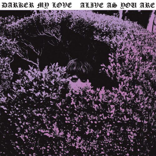 Cover for Darker My Love · Alive As You Are (LP) (2010)