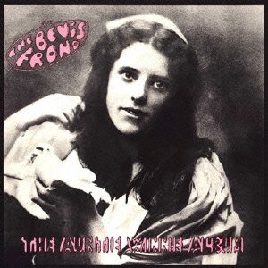 Cover for The Bevis Frond · The Auntie Winnie Album (CD) [Japan Import edition] (2015)