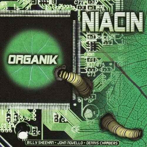 Organik - Niacin  - Musikk -  - 4988112414914 - 