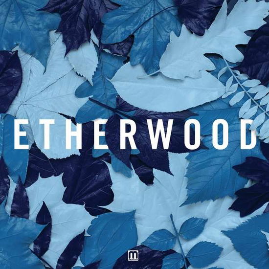 Cover for Etherwood · Blue Leaves (LP) (2015)