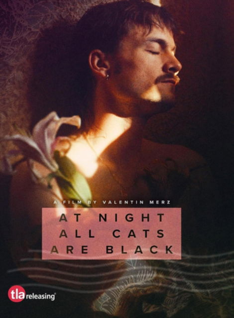 At Night All Cats Are Black (DVD) (2025)