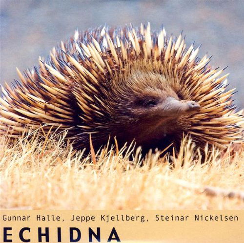 Echidna - Kjellberg,jeppe / Halle,gunnar / Nickelsen,steinar - Musik - ILK - 5706274001914 - 25. marts 2008